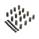 STK Performance Single Valve Spring Kit VAG EA113 image 1